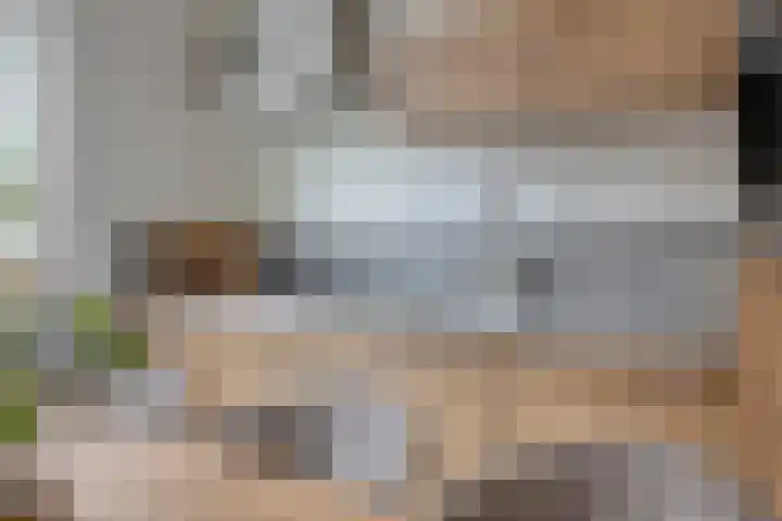 Patrijs 37 Etten-Leur thumbnail 7