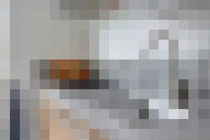 Patrijs 37 Etten-Leur thumbnail 8
