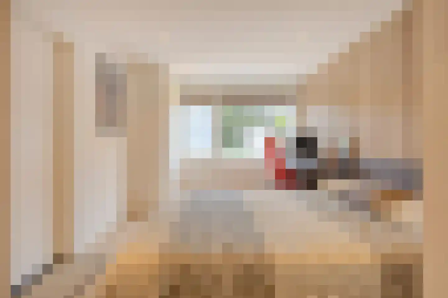 Patrijs 41 Veldhoven thumbnail 19