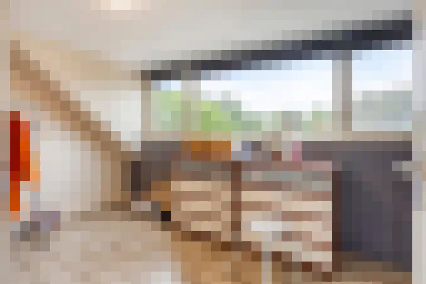 Patrijs 41 Veldhoven thumbnail 33