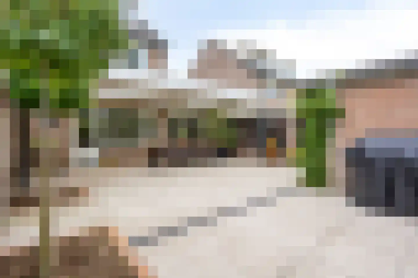 Patrijs 41 Veldhoven thumbnail 42