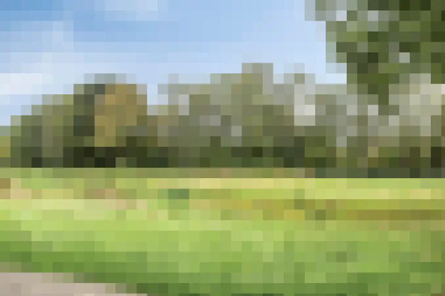Patrijs 41 Veldhoven thumbnail 46