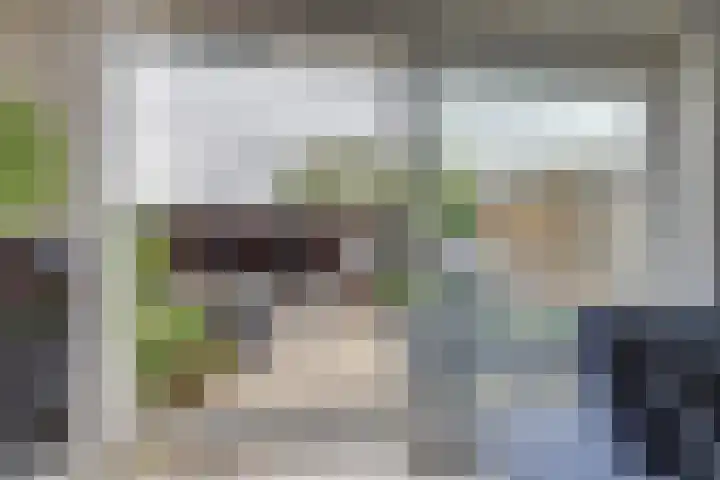 Patrijs 42 Ursem thumbnail 10