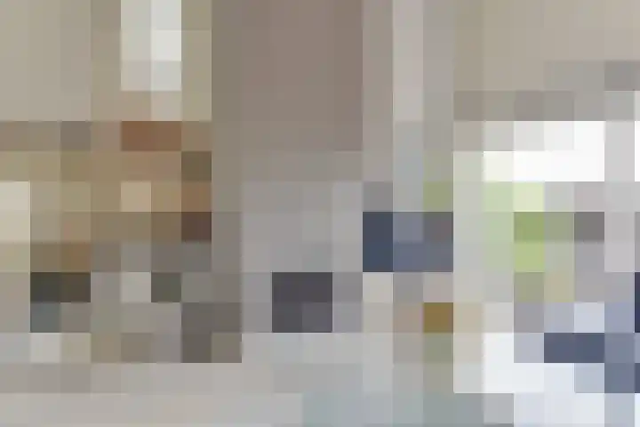 Patrijs 42 Ursem thumbnail 11
