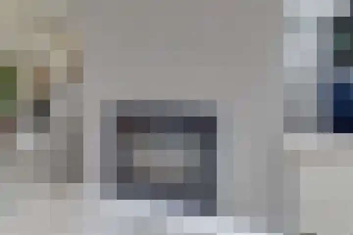 Patrijs 42 Ursem thumbnail 12