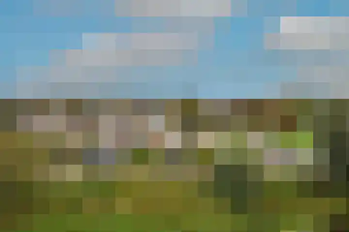 Patrijs 42 Ursem thumbnail 13