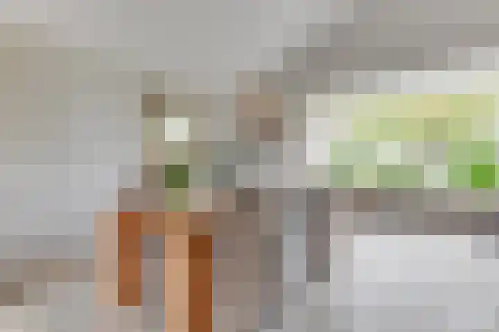Patrijs 42 Ursem thumbnail 14