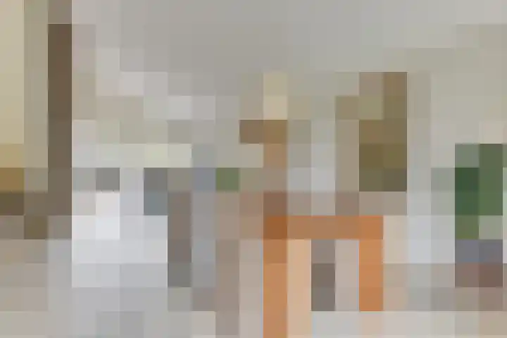 Patrijs 42 Ursem thumbnail 15