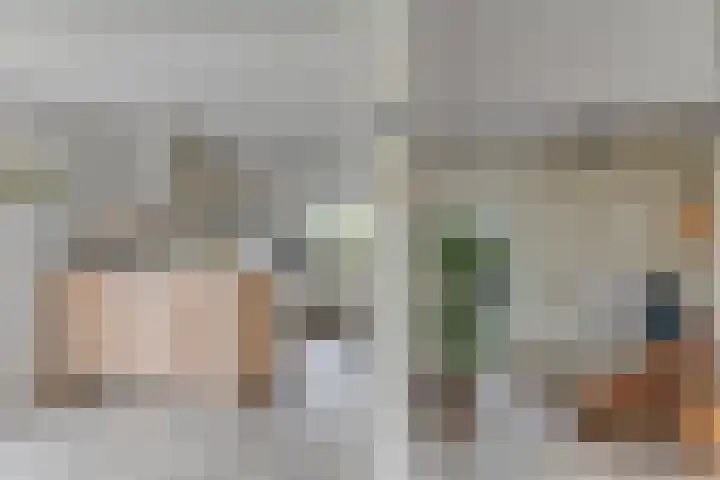 Patrijs 42 Ursem thumbnail 16