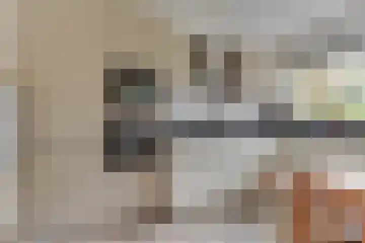 Patrijs 42 Ursem thumbnail 17