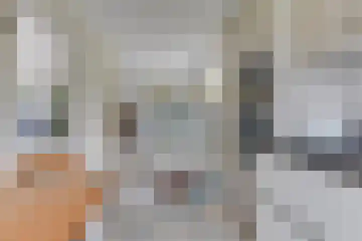 Patrijs 42 Ursem thumbnail 19