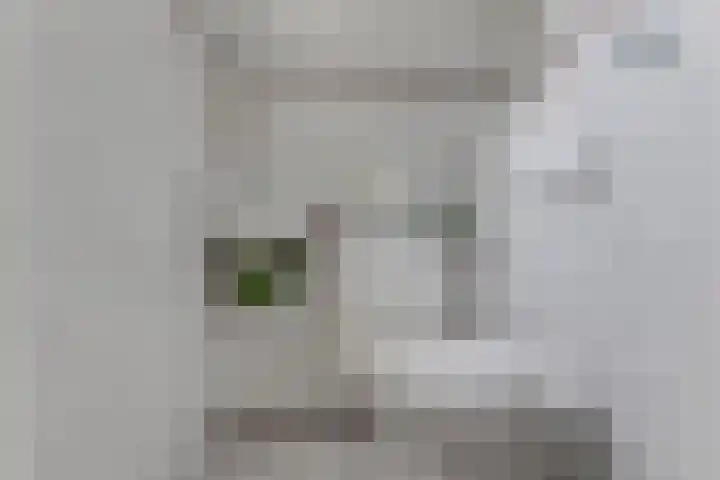 Patrijs 42 Ursem thumbnail 26