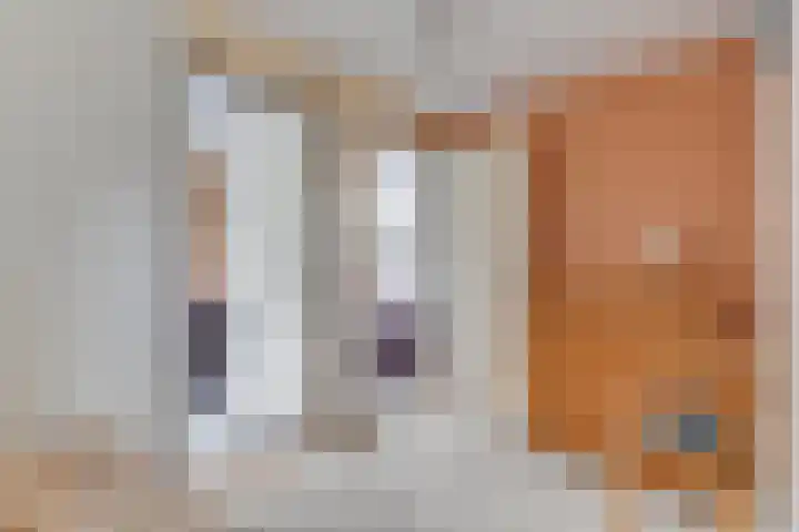 Patrijs 42 Ursem thumbnail 30