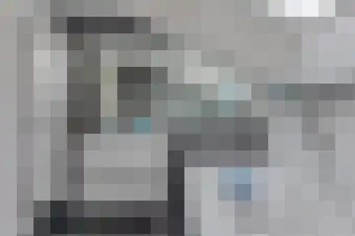 Patrijs 42 Ursem thumbnail 36