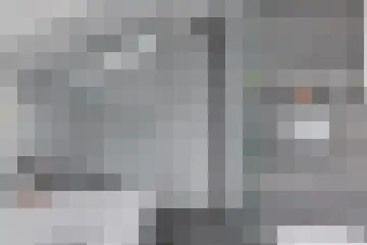 Patrijs 42 Ursem thumbnail 37