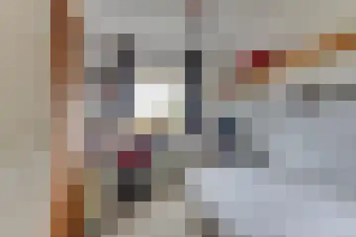 Patrijs 42 Ursem thumbnail 39