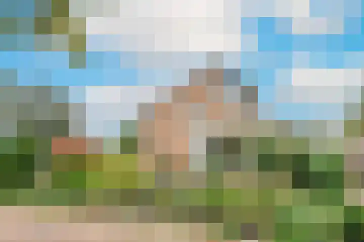 Patrijs 42 Ursem thumbnail 4