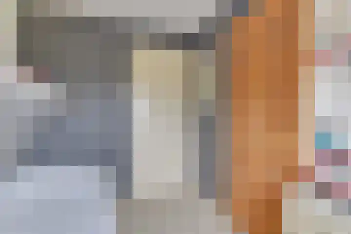 Patrijs 42 Ursem thumbnail 40