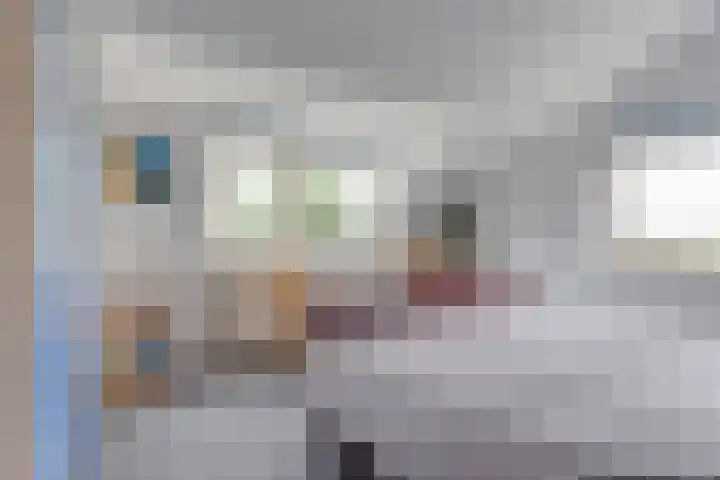 Patrijs 42 Ursem thumbnail 44