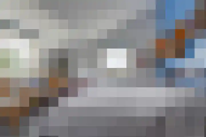 Patrijs 42 Ursem thumbnail 45