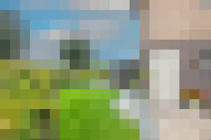 Patrijs 42 Ursem thumbnail 48