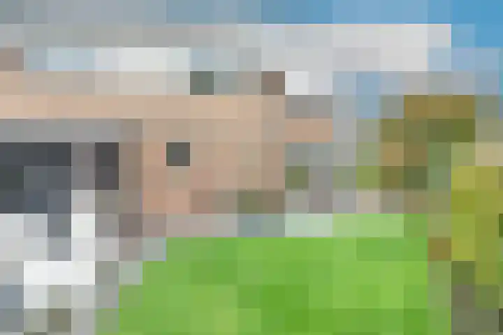 Patrijs 42 Ursem thumbnail 49