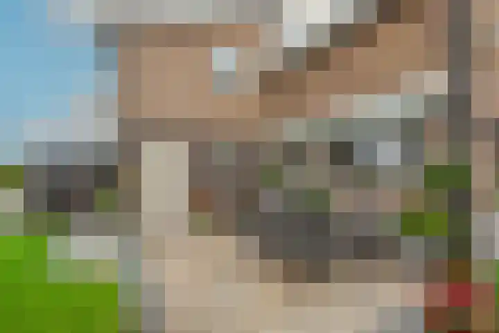 Patrijs 42 Ursem thumbnail 5