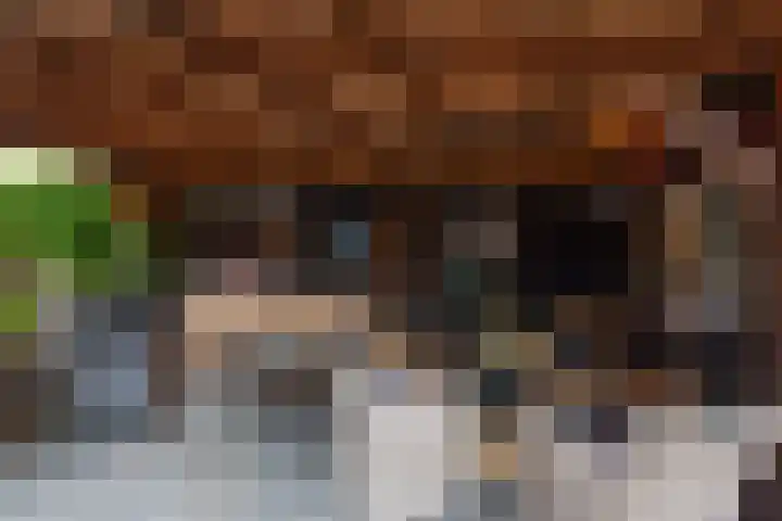Patrijs 42 Ursem thumbnail 51