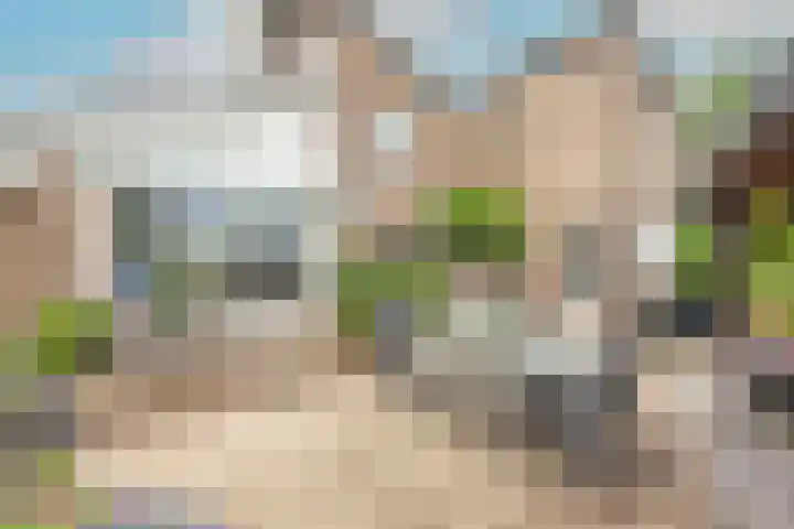 Patrijs 42 Ursem thumbnail 53