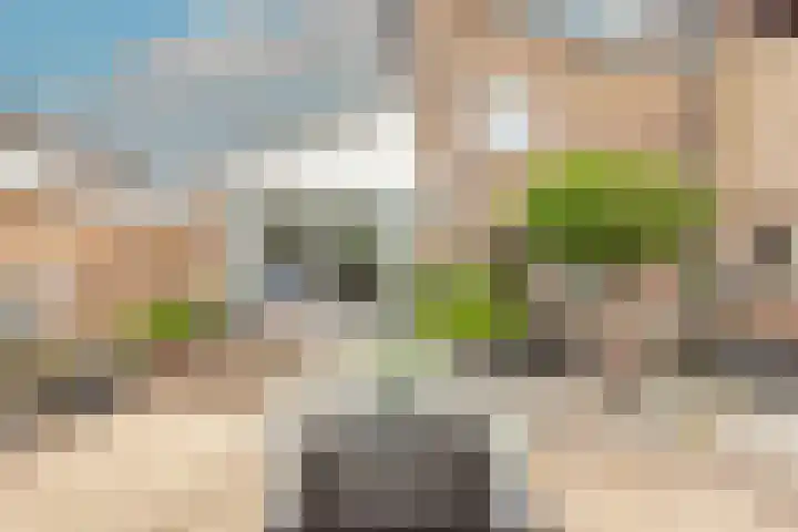 Patrijs 42 Ursem thumbnail 54