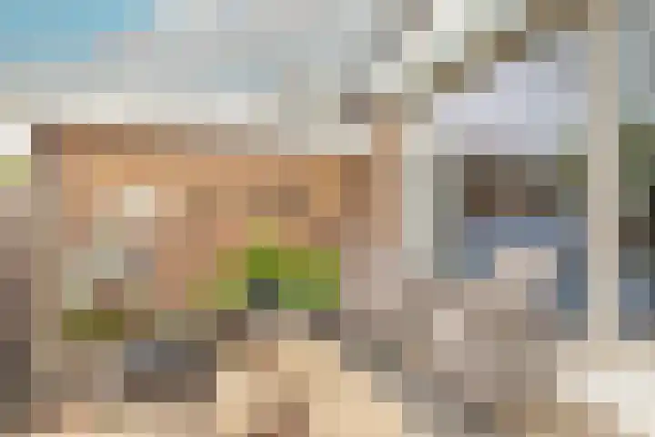 Patrijs 42 Ursem thumbnail 56