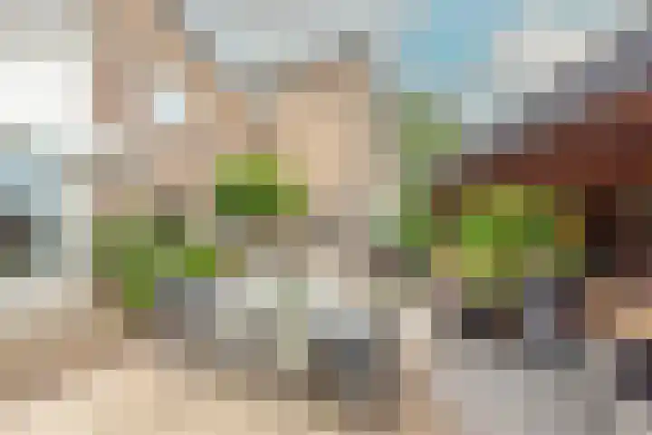 Patrijs 42 Ursem thumbnail 57
