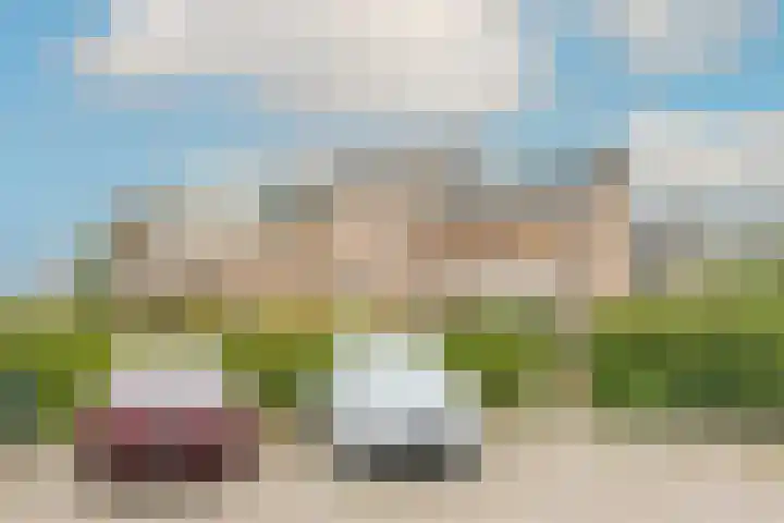 Patrijs 42 Ursem thumbnail 58