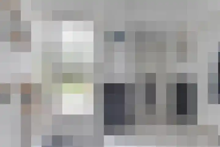 Patrijs 42 Ursem thumbnail 6