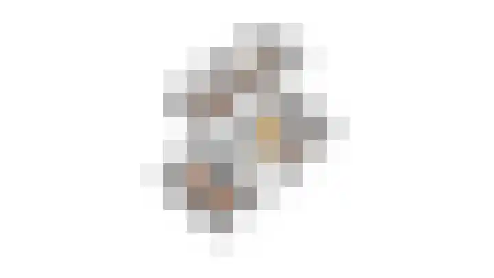Patrijs 42 Ursem thumbnail 63