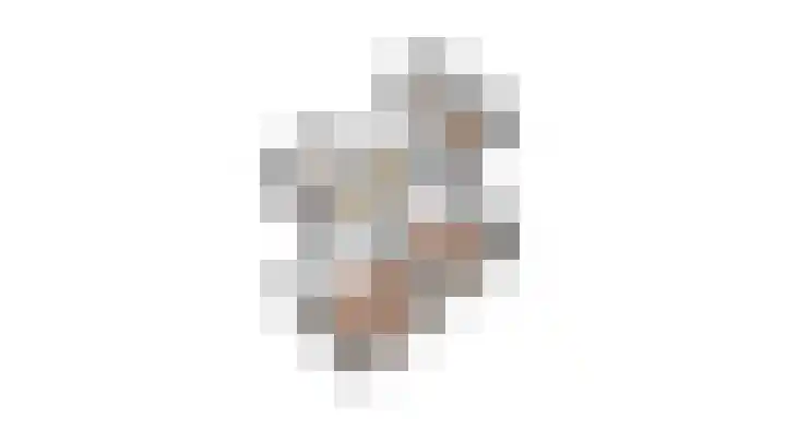 Patrijs 42 Ursem thumbnail 64