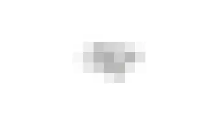 Patrijs 42 Ursem thumbnail 67