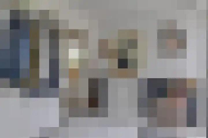 Patrijs 42 Ursem thumbnail 7