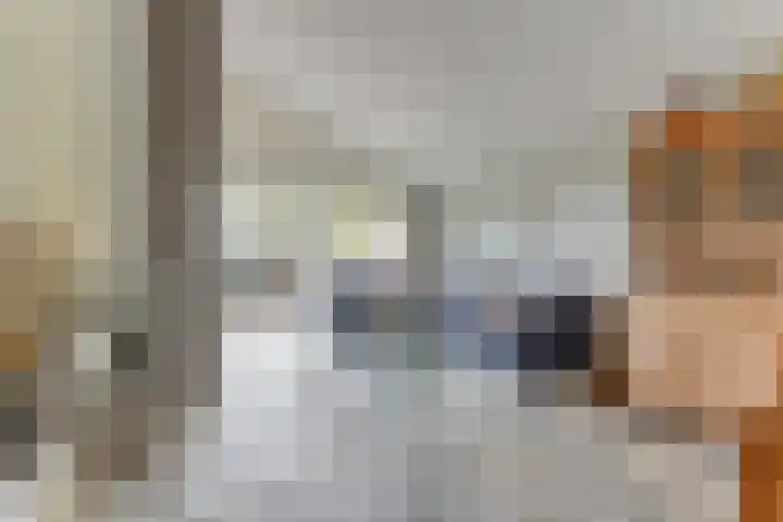Patrijs 42 Ursem thumbnail 8