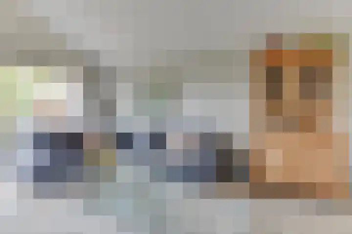 Patrijs 42 Ursem thumbnail 9
