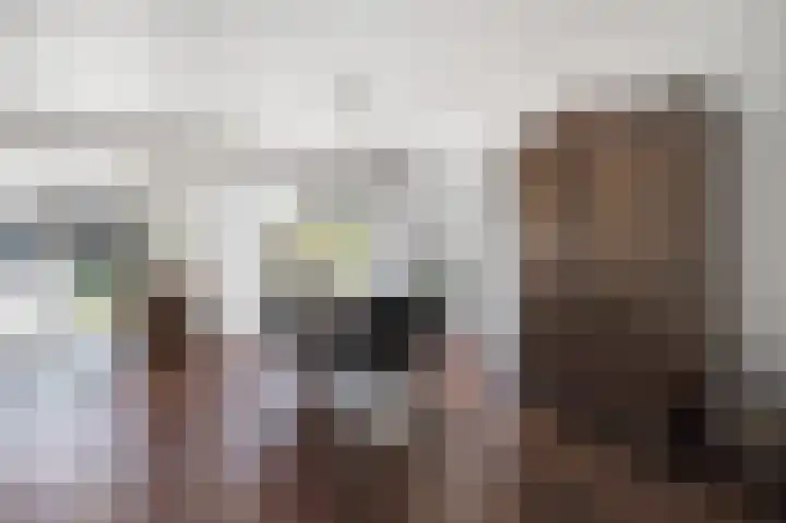 Patrijs 6 Etten-Leur thumbnail 11