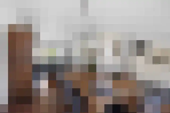 Patrijs 6 Etten-Leur thumbnail 13