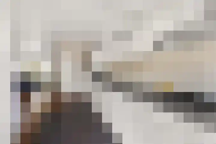 Patrijs 6 Etten-Leur thumbnail 17
