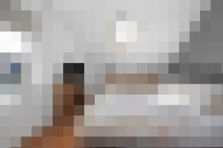 Patrijs 6 Etten-Leur thumbnail 24