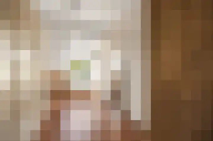 Patrijs 6 Etten-Leur thumbnail 27