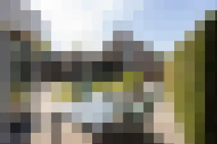 Patrijs 6 Etten-Leur thumbnail 33