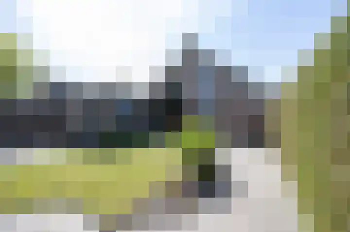 Patrijs 6 Etten-Leur thumbnail 34