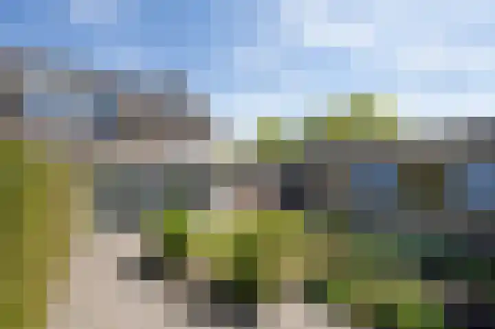 Patrijs 6 Etten-Leur thumbnail 35