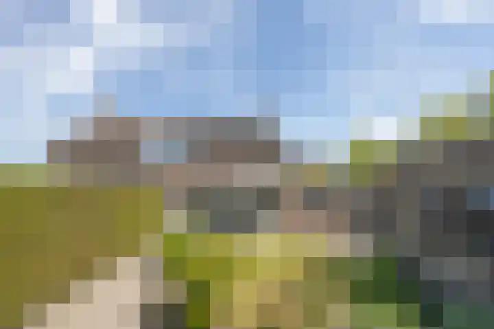 Patrijs 6 Etten-Leur thumbnail 36