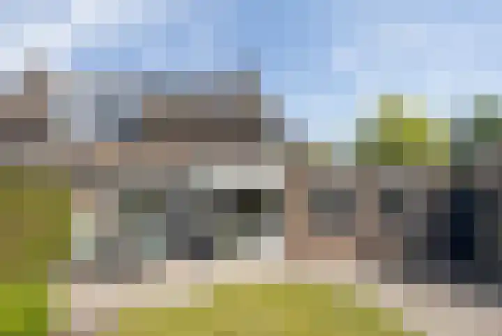 Patrijs 6 Etten-Leur thumbnail 37